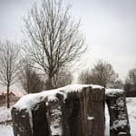 Dedans-la-terre-main-sous-la-neige.jpg